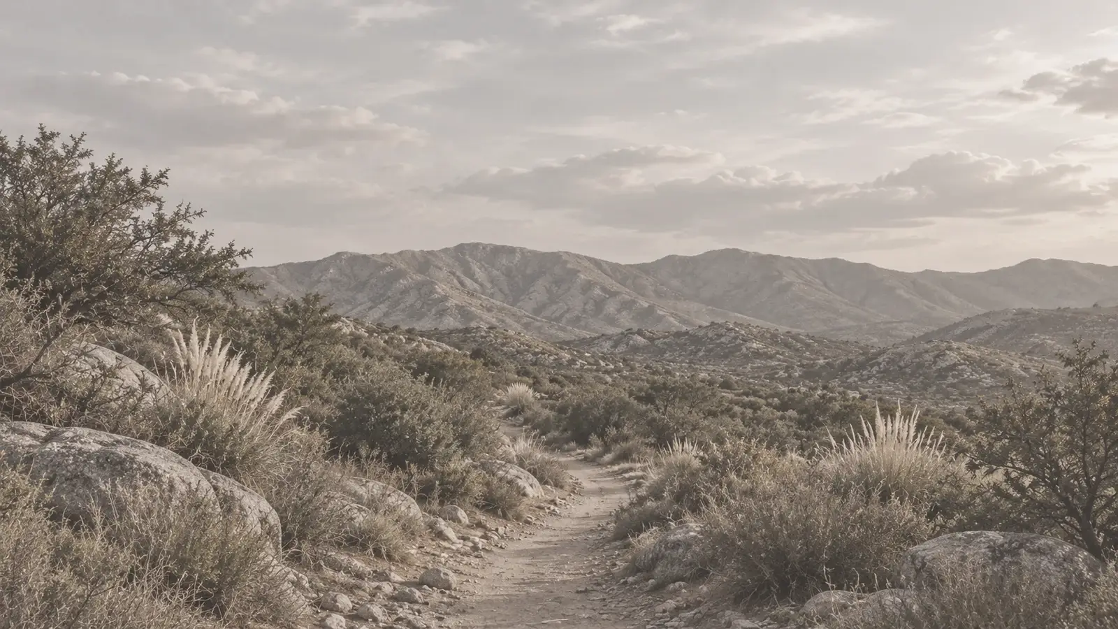 Sendero de tierra que se abre hacia las sierras de Traslasierra