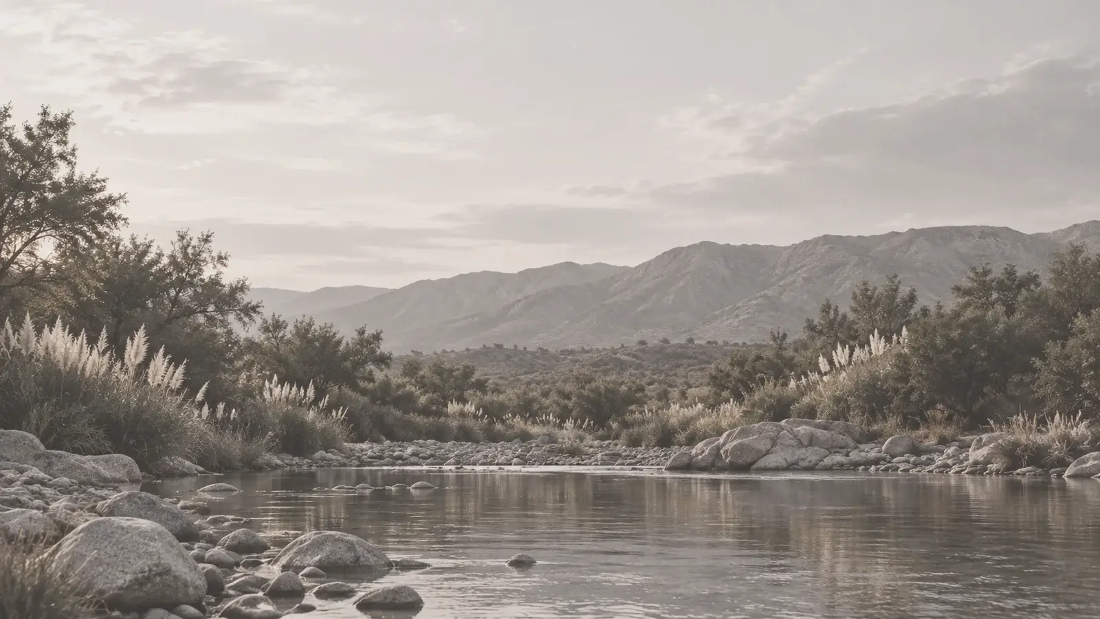 Las sierras de Traslasierra al amanecer, con pastizales y cortaderas en primer plano